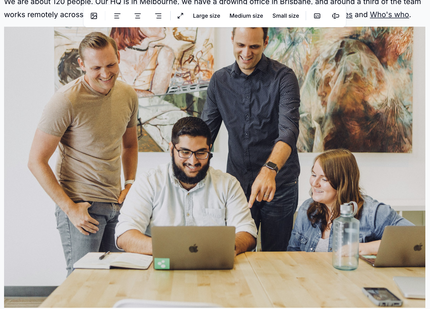 The image toolbar