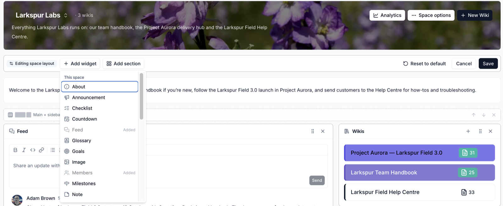 Adding a widget